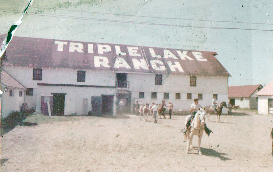 Triple Lake Ranch Succasunna New Jersey Horses